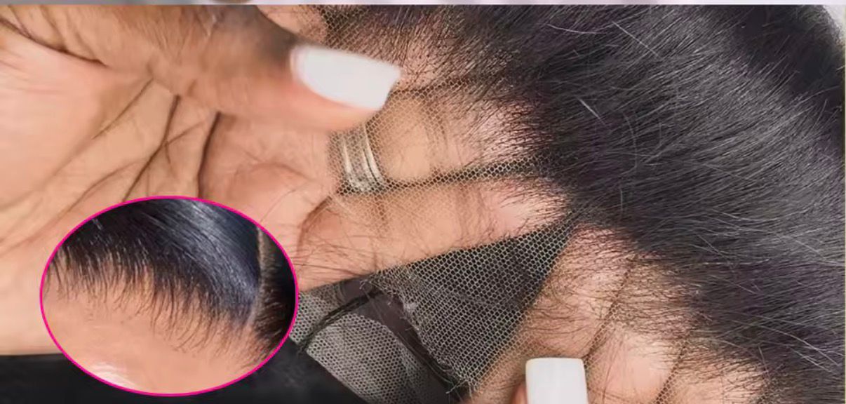 JANICE HD BURMESE CURL